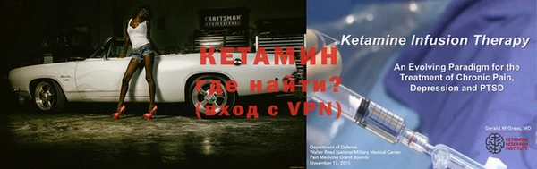стаф Тутаев
