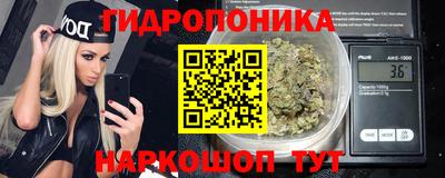 дурь Кингисепп