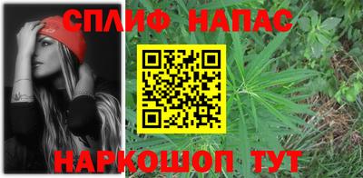 дурь Кингисепп