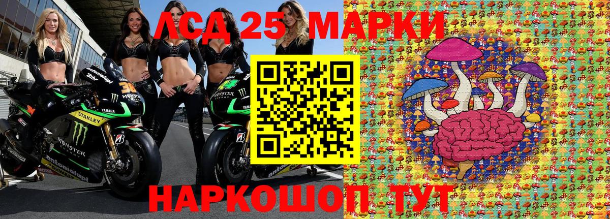 купить закладку  Вход с VPN  Лениногорск  Наркотические марки 1500мкг  Наркотические марки 1500мкг 