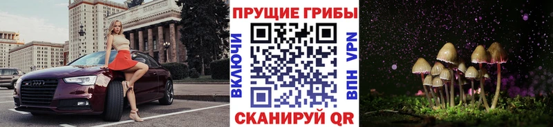 Галлюциногенные грибы Psilocybe Лениногорск